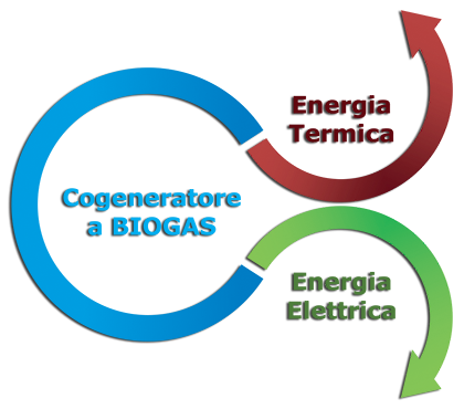 BIO System