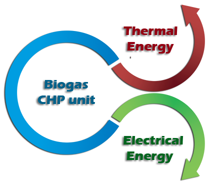 BIO System