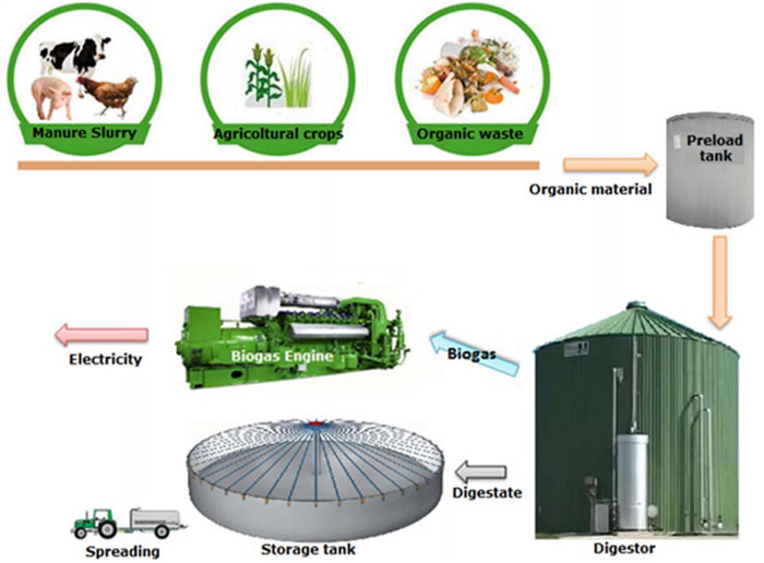 Biogas schema