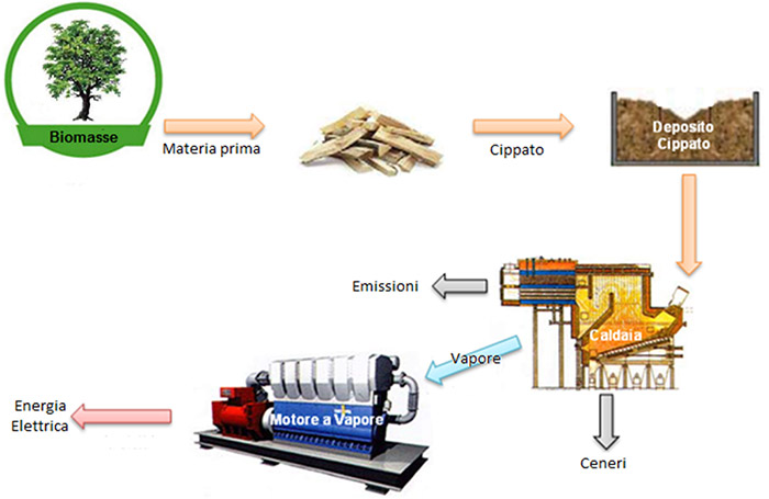 schema-cogenerazione-biomasse