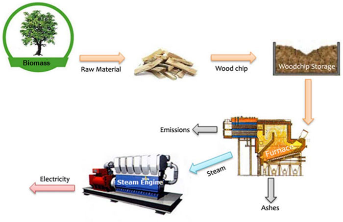 schema-cogenerazione-biomasse