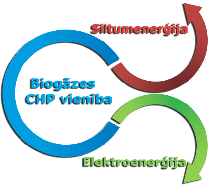 BIO System