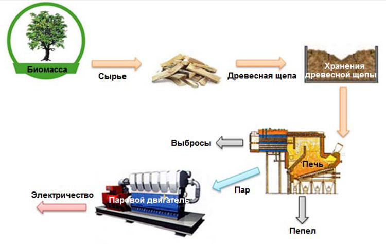 schema-cogenerazione-biomasse